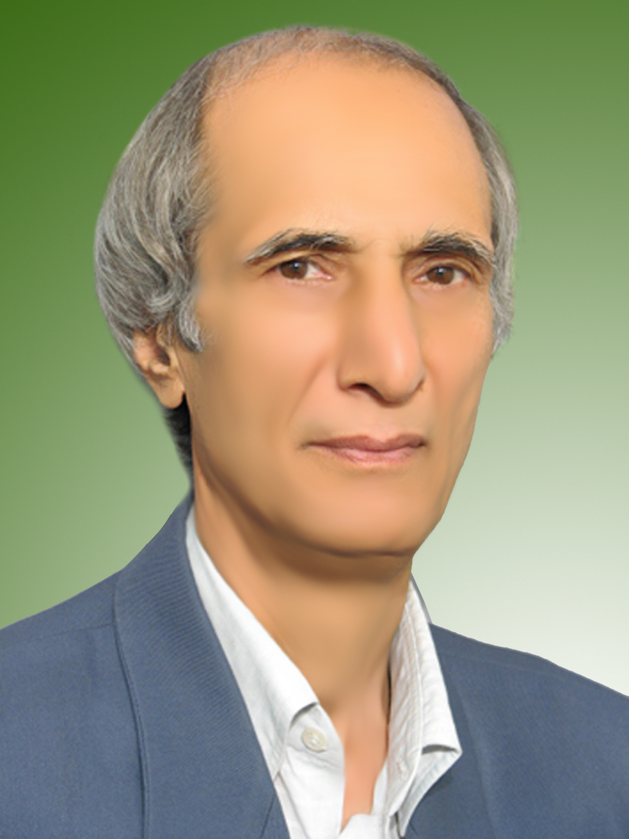 سیدقاسم تجلی فر