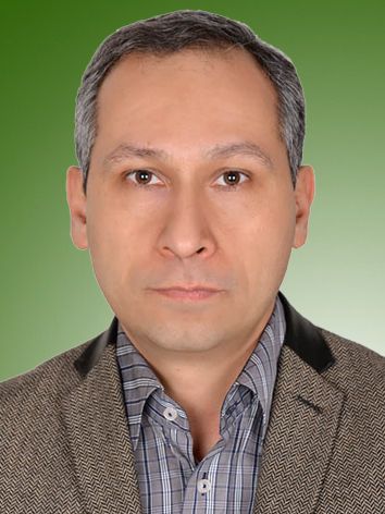 علی اصغر عامری