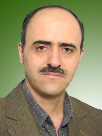 رضا امام
