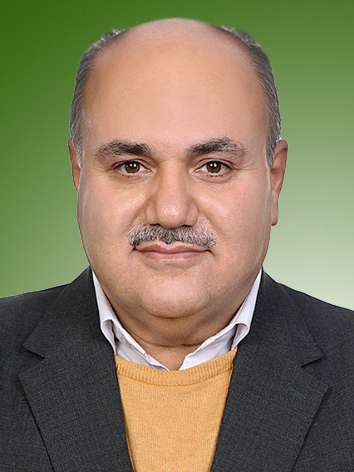محمدحسین مددی