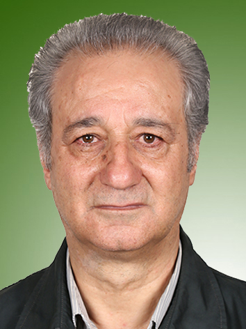 محمدرضا عامری