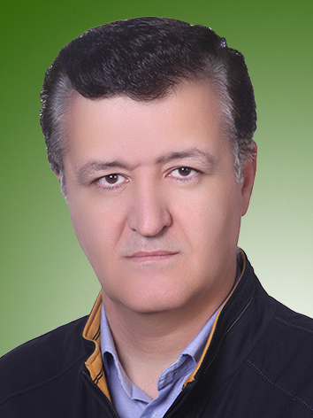 حسین میدانی