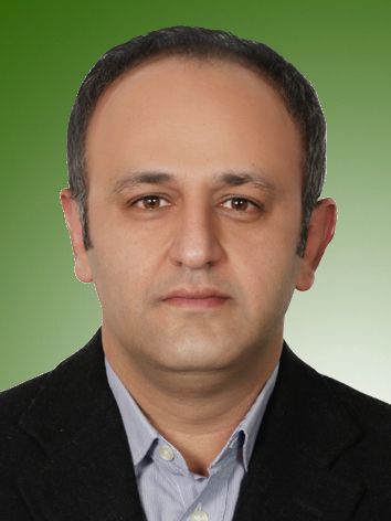 حامد دارائی بافی