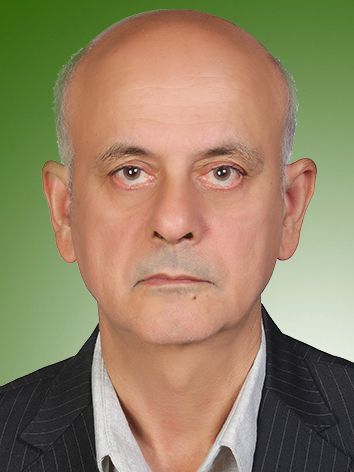 رضا مهرگانی فر