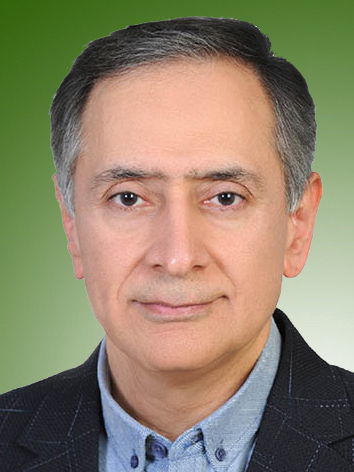 مسعود ملک یارند