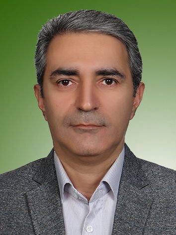 احد ولیزاده ارجمند