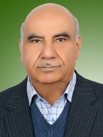 محمد حیدری
