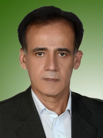 حمید حسنی
