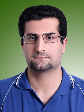هادی محمودی