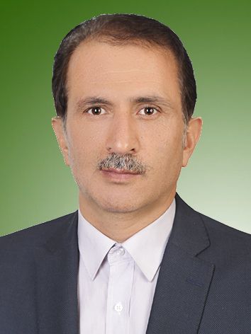 مهدی میراشرفی