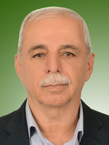 علی پاشا محمد نوری