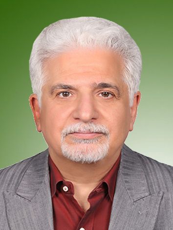 مهدی حق بین