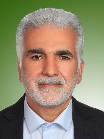 محمدرضا مرادی رنانی