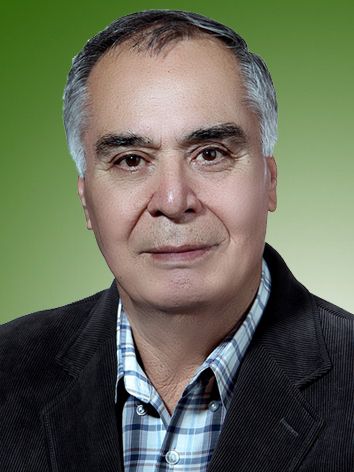 حسین عظیمی نژاد