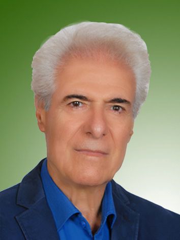 محمد حسین جدیری تقی زاده