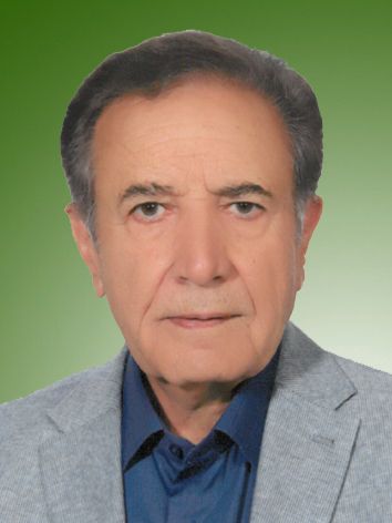 داود صالحی