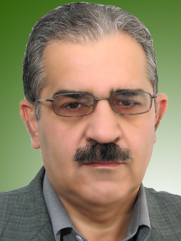 فرخ برزیده