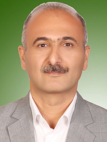 مجید امینی