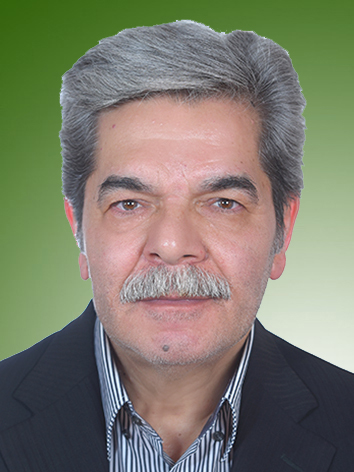 همایون نبئی