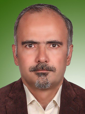 سید حسن علوی زاده میلانی