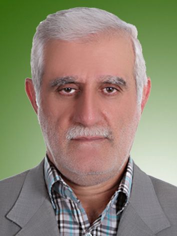 سیدمصطفی سیدپور