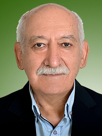 حسین امیرنژاد