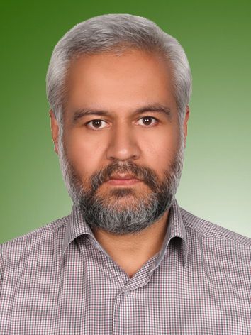 سیدمحمد میرمحمدعلی‌ ئی