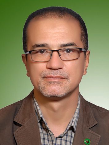 هادی ایمانی