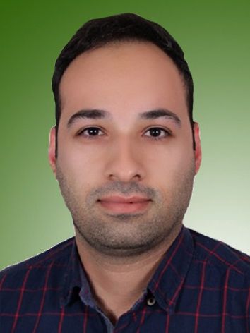 حمید محمدی