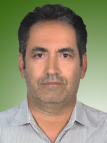 حامد محمودی