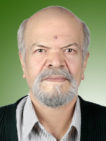 محمد نیکنام