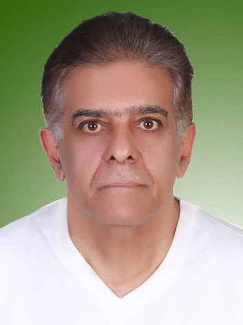 ضیاء الدین تنکابنی