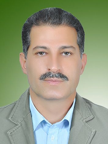 مجتبی محسنی کیا
