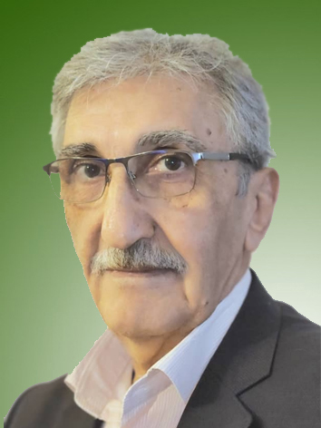 حسین رئوفی