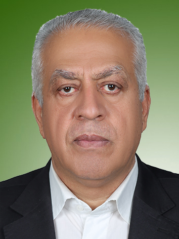 علی فرجی