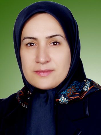 آرزو موسی خانی