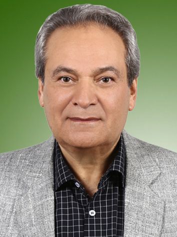 حبیب رزاقی اصل