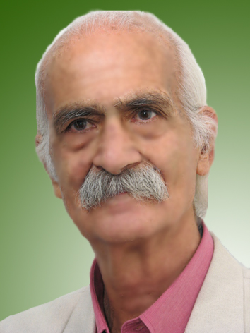 بهمن مرادی خامنه ای
