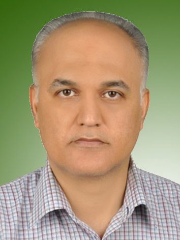 محمود نیک جو