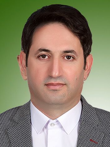 محمد امینی