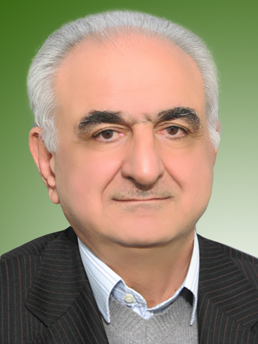 محمد تقی نژاد عمران