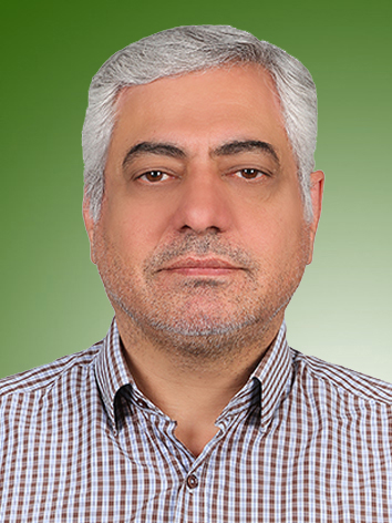 امیر محمدی