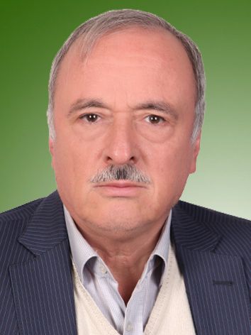 سعید اعتمادی