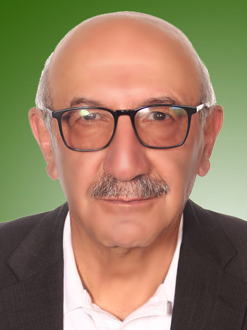 محمدمهدی امیرانی