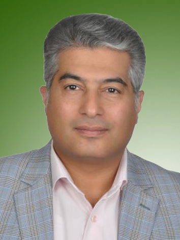 شاهین امینی پی