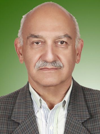 محسن جوادیان ارزاقی