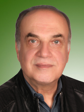 ناصر رضائی انزهایی