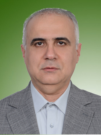 هادی رحیمی
