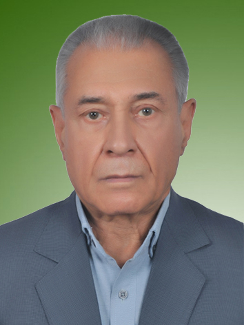 ناصر محمدحسینی