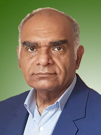 فرزین حاجتی